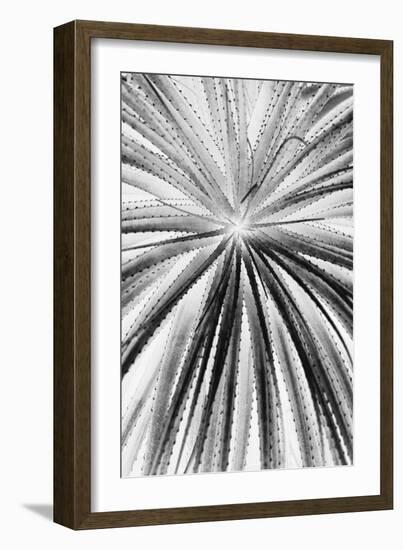 Palmera Shift-Irene Suchocki-Framed Giclee Print