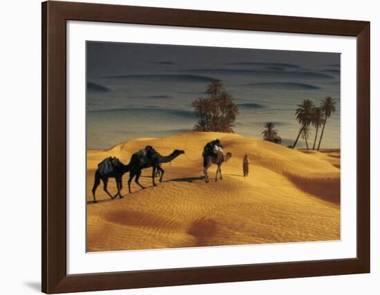 Palmeraie Dans le Sud Tunisien-Robert Putinier-Framed Art Print