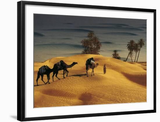 Palmeraie Dans le Sud Tunisien-Robert Putinier-Framed Art Print