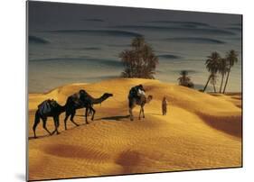 Palmeraie Dans le Sud Tunisien-Robert Putinier-Mounted Art Print