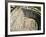 Palmers Quarry, Dunedin, South Island, New Zealand-David Wall-Framed Photographic Print