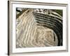 Palmers Quarry, Dunedin, South Island, New Zealand-David Wall-Framed Photographic Print