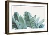 Palmetto Bay-Irene Suchocki-Framed Giclee Print