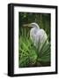 Palmetto Egret-Steve Hunziker-Framed Art Print