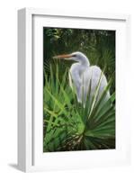 Palmetto Egret-Steve Hunziker-Framed Art Print