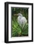 Palmetto Egret-Steve Hunziker-Framed Art Print