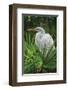 Palmetto Egret-Steve Hunziker-Framed Art Print