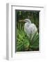 Palmetto Egret-Steve Hunziker-Framed Art Print