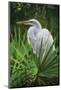 Palmetto Egret-Steve Hunziker-Mounted Art Print