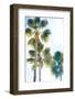 Palmetto II-Ryan Hartson-Weddle-Framed Photographic Print