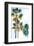 Palmetto II-Ryan Hartson-Weddle-Framed Photographic Print