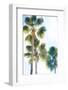 Palmetto II-Ryan Hartson-Weddle-Framed Photographic Print