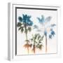 Palmetto IV-Ryan Hartson-Weddle-Framed Photographic Print