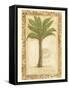 Palmetto Palm-Marianne D^ Cuozzo-Framed Stretched Canvas