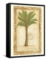 Palmetto Palm-Marianne D^ Cuozzo-Framed Stretched Canvas