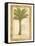 Palmetto Palm-Marianne D^ Cuozzo-Framed Stretched Canvas