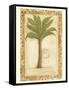 Palmetto Palm-Marianne D^ Cuozzo-Framed Stretched Canvas