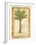 Palmetto Palm-Marianne D^ Cuozzo-Framed Art Print