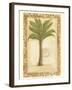 Palmetto Palm-Marianne D^ Cuozzo-Framed Art Print