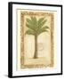 Palmetto Palm-Marianne D^ Cuozzo-Framed Art Print