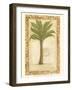 Palmetto Palm-Marianne D^ Cuozzo-Framed Art Print