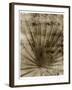 Palmetto Palm-John Kuss-Framed Giclee Print