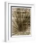 Palmetto Palm-John Kuss-Framed Giclee Print