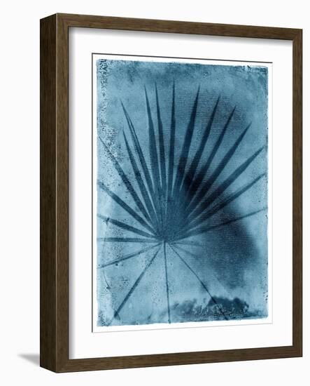 Palmetto Palm-John Kuss-Framed Photographic Print