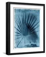 Palmetto Palm-John Kuss-Framed Photographic Print