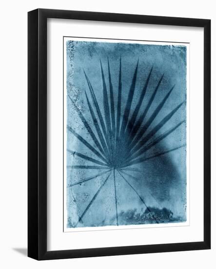 Palmetto Palm-John Kuss-Framed Photographic Print