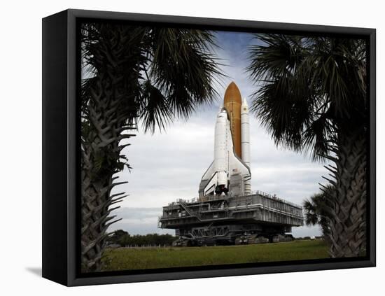 Palmetto Trees Frame Space Shuttle Endeavour as it Rolls Toward the Launch Pad-Stocktrek Images-Framed Stretched Canvas