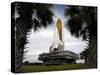 Palmetto Trees Frame Space Shuttle Endeavour as it Rolls Toward the Launch Pad-Stocktrek Images-Stretched Canvas