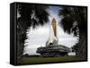 Palmetto Trees Frame Space Shuttle Endeavour as it Rolls Toward the Launch Pad-Stocktrek Images-Framed Stretched Canvas