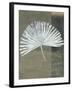 Palmetto-Steve Peterson-Framed Art Print