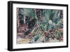 Palmettos, 1917-John Singer Sargent-Framed Giclee Print