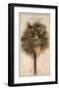 Palmier de Chine-Vincent Jeannerot-Framed Art Print