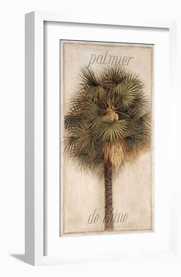 Palmier de Chine-Vincent Jeannerot-Framed Art Print