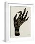 Palmistry Black-Cat Coquillette-Framed Art Print