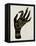 Palmistry Black-Cat Coquillette-Framed Stretched Canvas