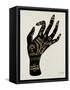 Palmistry Black-Cat Coquillette-Framed Stretched Canvas