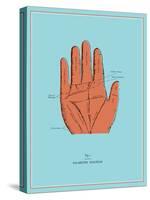 Palmistry Chart-null-Stretched Canvas