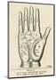 Palmistry: Palm Diagram-null-Mounted Giclee Print