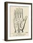 Palmistry: Palm Diagram-null-Framed Giclee Print