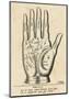 Palmistry: Palm Diagram-Vintage Reproduction-Mounted Art Print