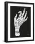 Palmistry White-Cat Coquillette-Framed Art Print