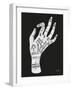 Palmistry White-Cat Coquillette-Framed Art Print