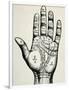 Palmistry-null-Framed Art Print