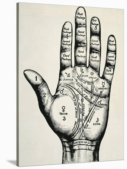 Palmistry-null-Stretched Canvas