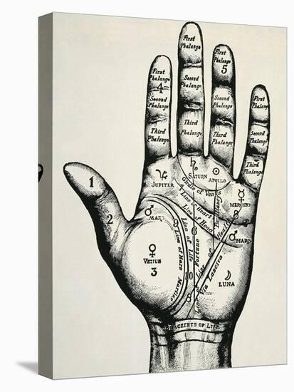 Palmistry-null-Stretched Canvas