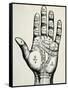 Palmistry-null-Framed Stretched Canvas